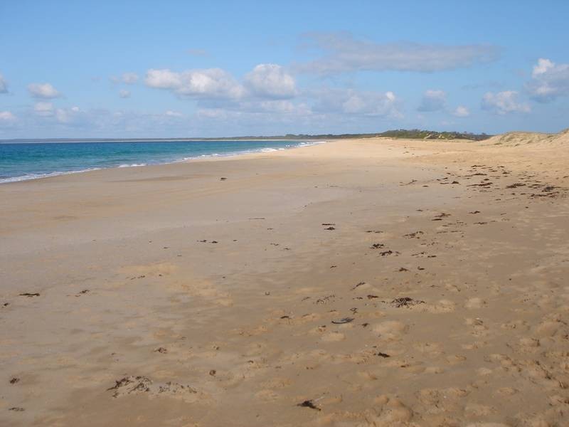 58 Eastbourne Avenue, Culburra Beach NSW 2540