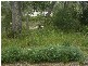 10 Monarch Place All, Callala Bay NSW 2540