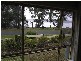 76 West Crescent, Culburra Beach NSW 2540
