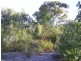 21 Sandlewood Cove, Callala Beach NSW 2540