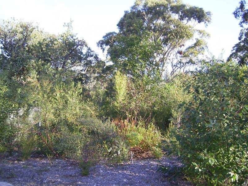 21 Sandlewood Cove, Callala Beach NSW 2540
