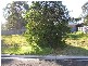 59A Chapman Street, Callala Bay NSW 2540