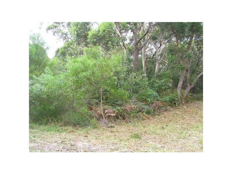 76 Griffin Street, Callala Beach NSW 2540