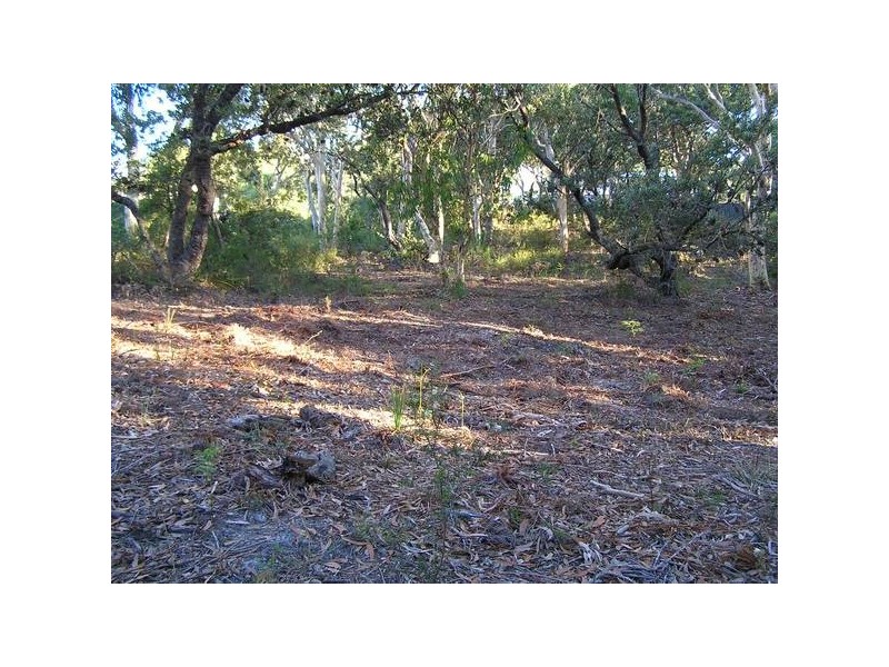 15 Caffrey Circuit, Callala Beach NSW 2540