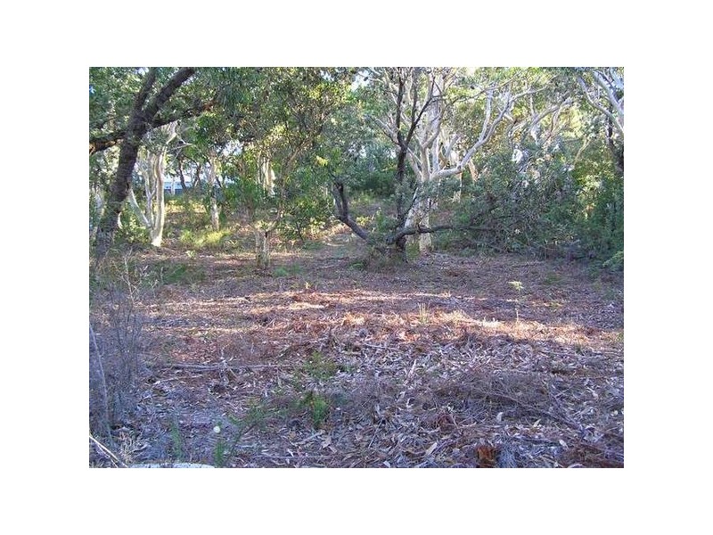 15 Caffrey Circuit, Callala Beach NSW 2540