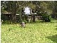 54 Orient Point Road, Culburra Beach NSW 2540