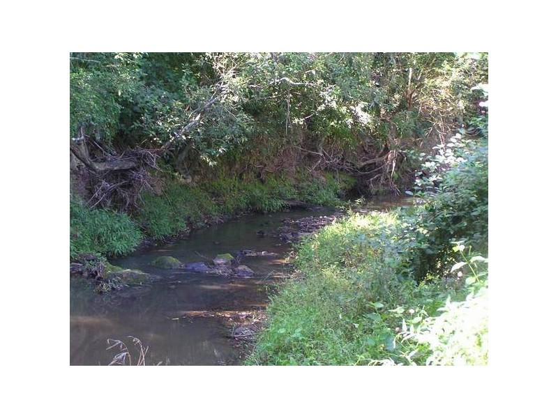 78 Tapitallee Road, Cambewarra NSW 2540