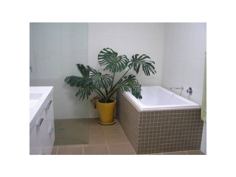 Culburra Beach NSW 2540