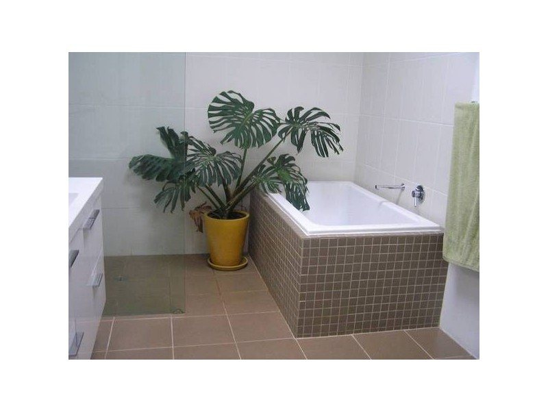 Culburra Beach NSW 2540