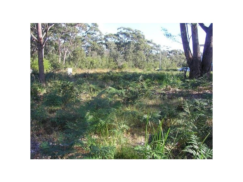 61 Griffin Street, Callala Beach NSW 2540