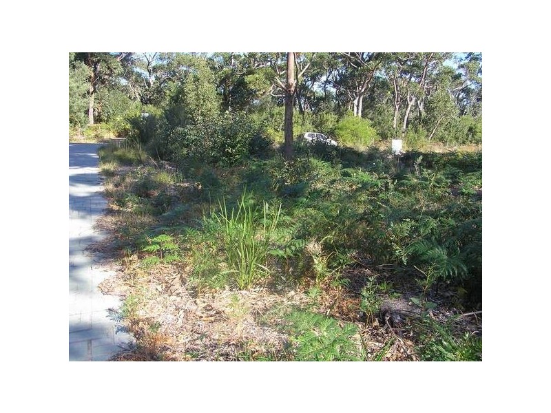61 Griffin Street, Callala Beach NSW 2540