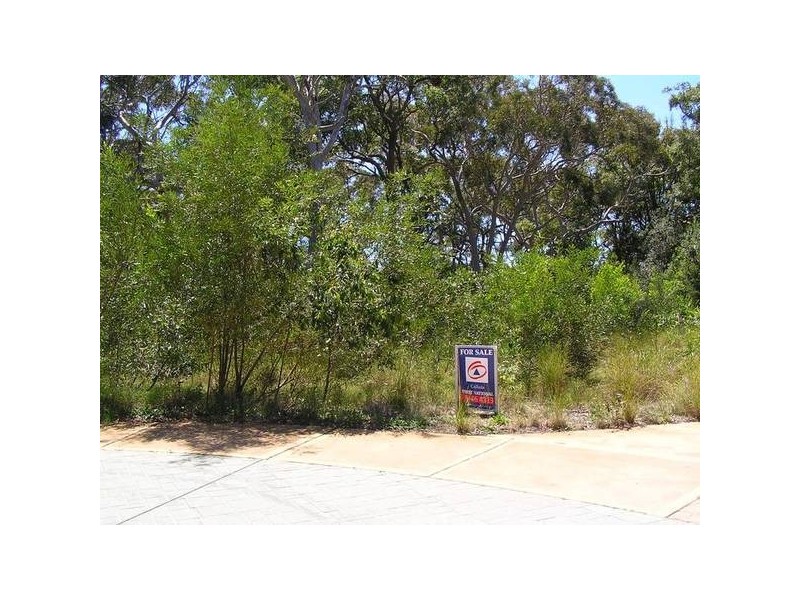 81 Silkwood Walk, Callala Beach NSW 2540