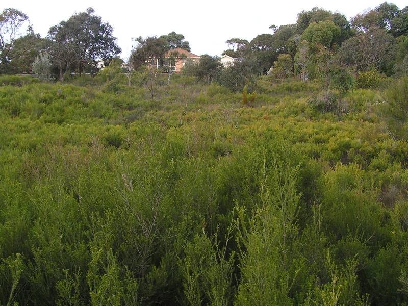 18 East Crescent, Culburra Beach NSW 2540