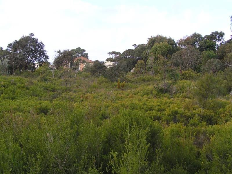 18 East Crescent, Culburra Beach NSW 2540