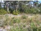62 Griffin Street, Callala Beach NSW 2540