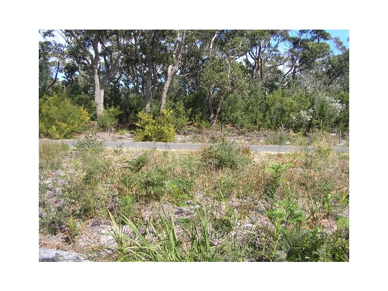 62 Griffin Street, Callala Beach NSW 2540