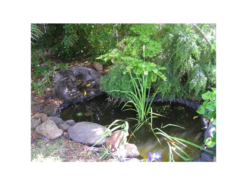 33 Morton Street, Callala Bay NSW 2540