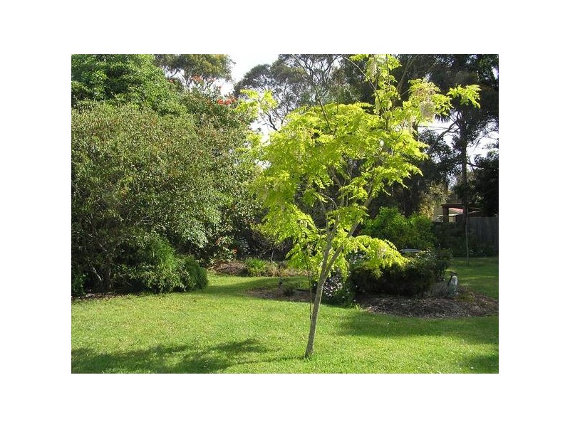 33 Morton Street, Callala Bay NSW 2540
