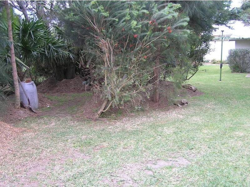 49 Allerton Avenue, Culburra Beach NSW 2540