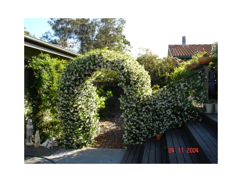 99 Greenbank Grove, Culburra Beach NSW 2540