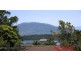 26 Comarong Street, Greenwell Point NSW 2540