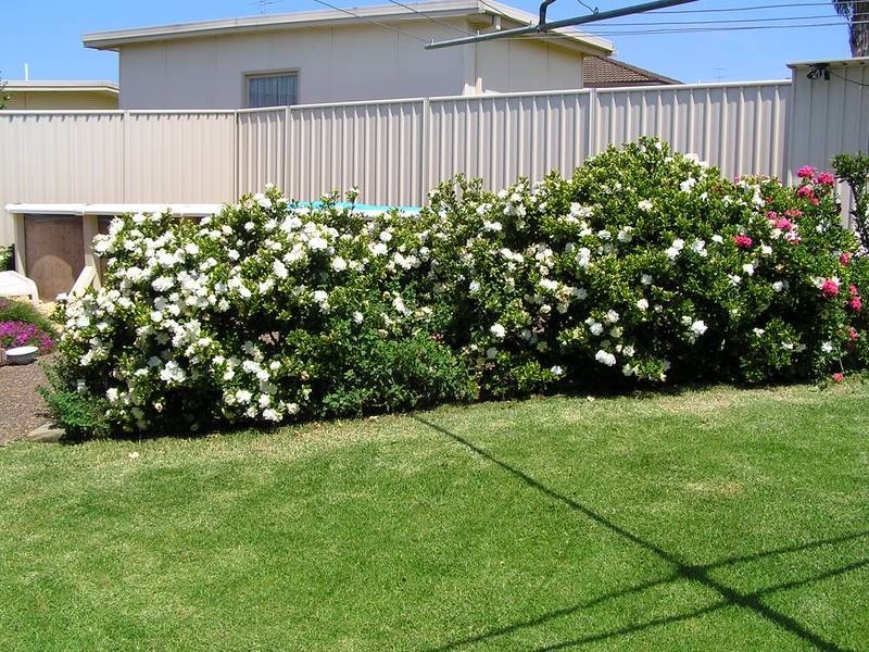 26 Comarong Street, Greenwell Point NSW 2540