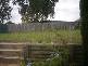 Ambarvale NSW 2560