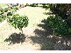 18 Colorado Street, Kearns NSW 2558