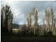 20 Parisi Lane, Narbethong VIC 3778