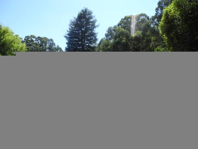 108 Badger Weir Road, Healesville VIC 3777