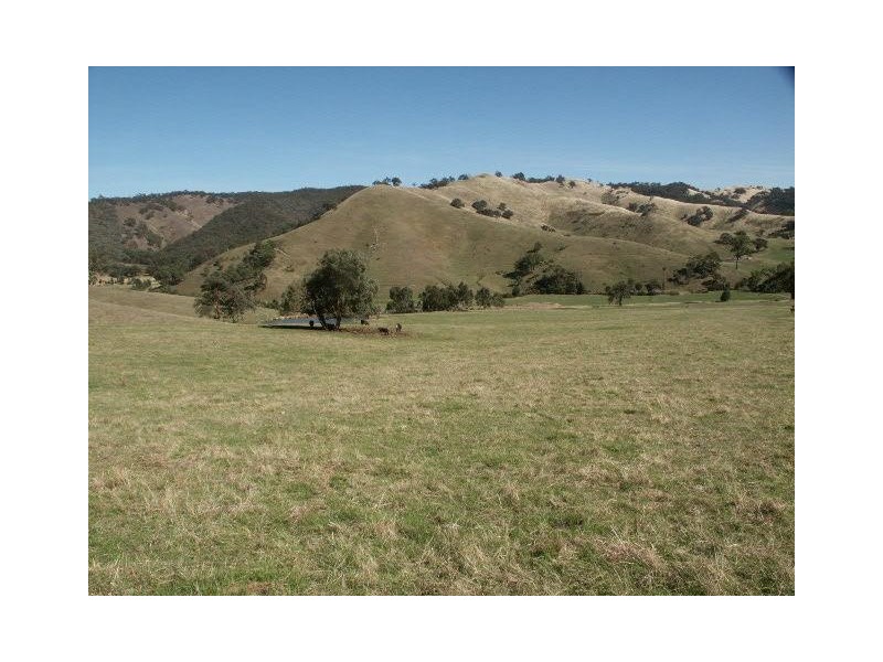 545 Ti Tree Creek Road, Yea VIC 3717