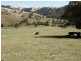545 Ti Tree Creek Road, Yea VIC 3717