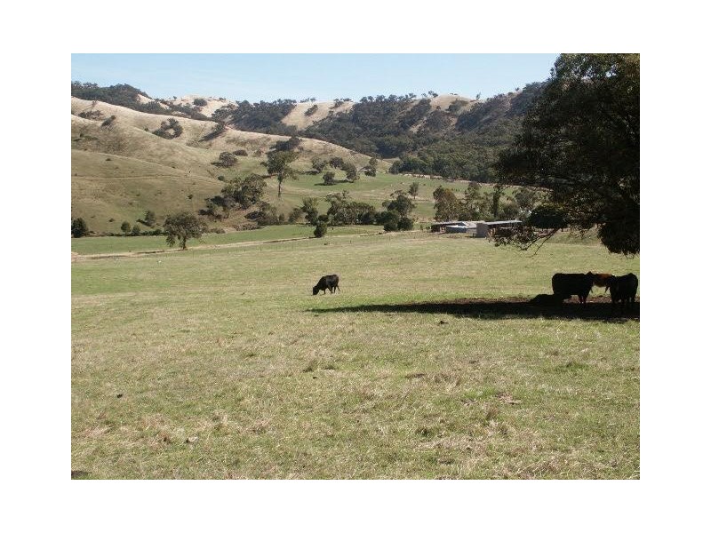 545 Ti Tree Creek Road, Yea VIC 3717