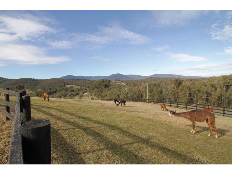 52 Ainsworth Avenue, Chum Creek VIC 3777