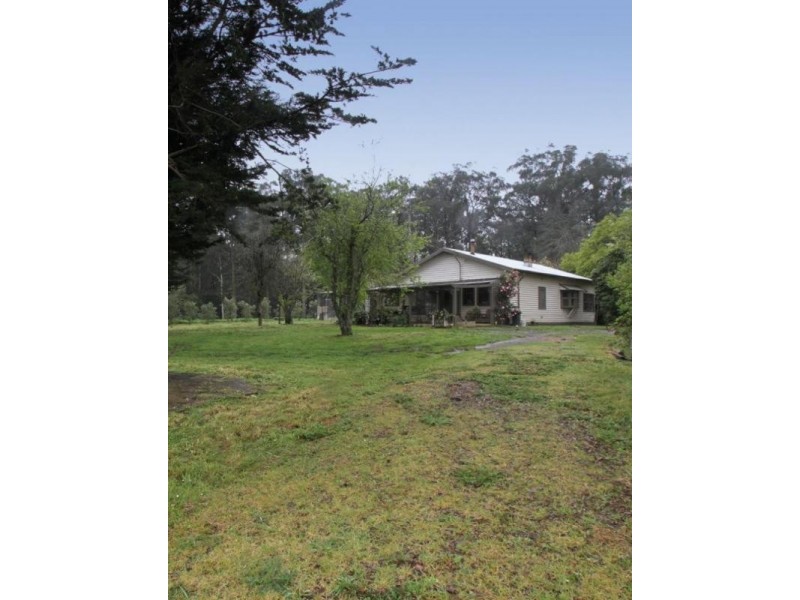 59 Old Toolangi-Mt Slide Road, Toolangi VIC 3777
