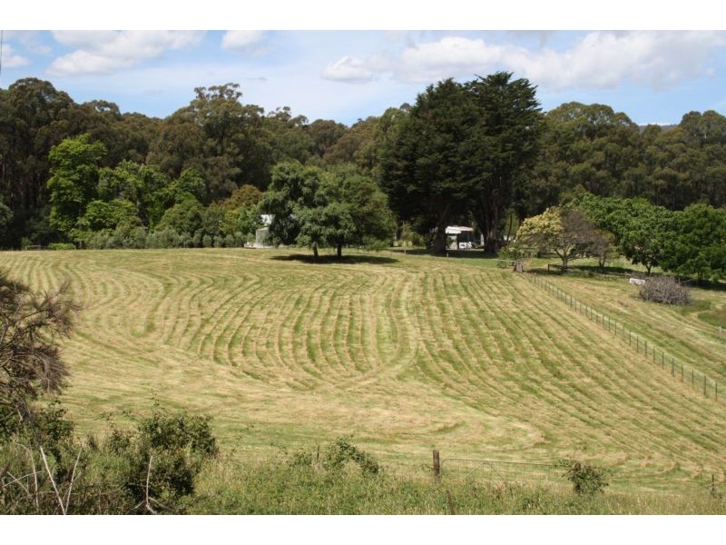 59 Old Toolangi-Mt Slide Road, Toolangi VIC 3777