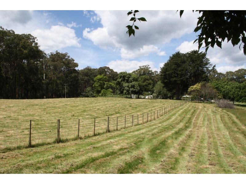 59 Old Toolangi-Mt Slide Road, Toolangi VIC 3777