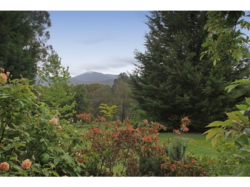 11 Chaffer Street, Healesville VIC 3777