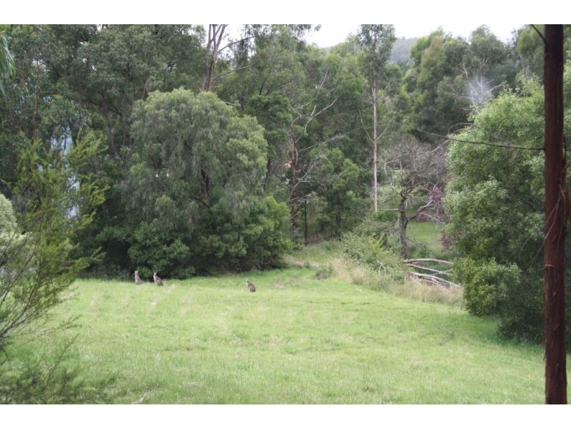7 Blackmore Street, Chum Creek VIC 3777