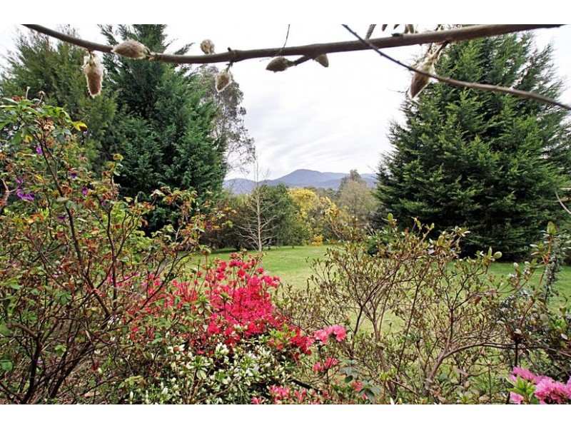 11 Chaffer Street, Chum Creek VIC 3777