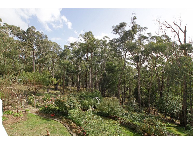 600 Don Road, Healesville VIC 3777