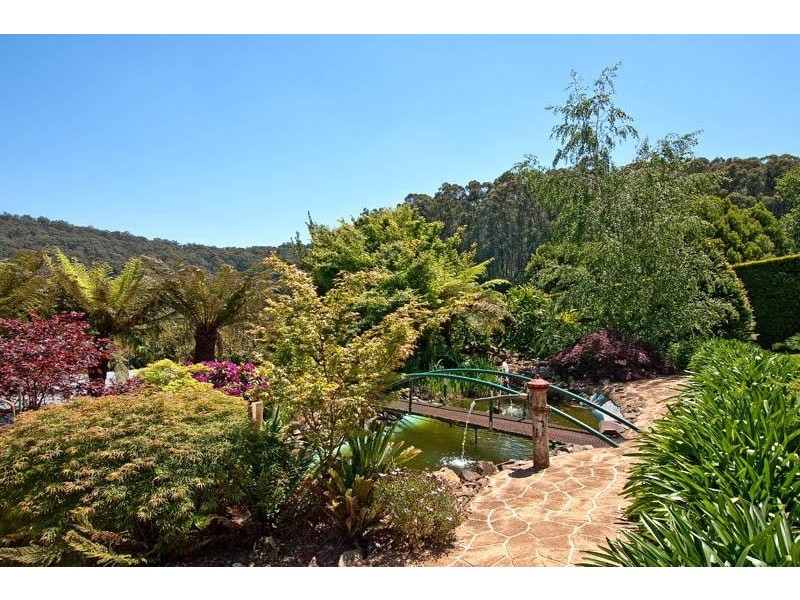 751 Myers Creek Road, Toolangi VIC 3777