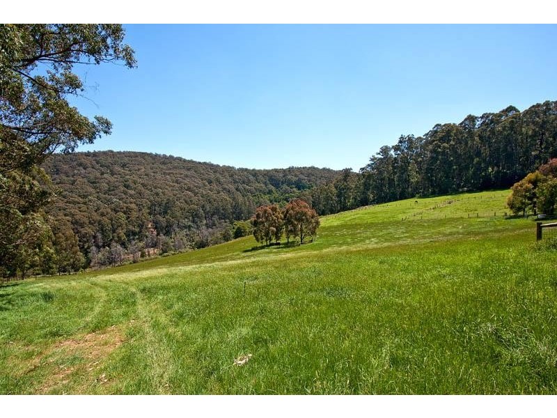 751 Myers Creek Road, Toolangi VIC 3777