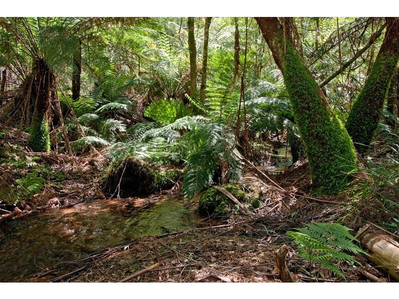 757 Myers Creek Road, Toolangi VIC 3777