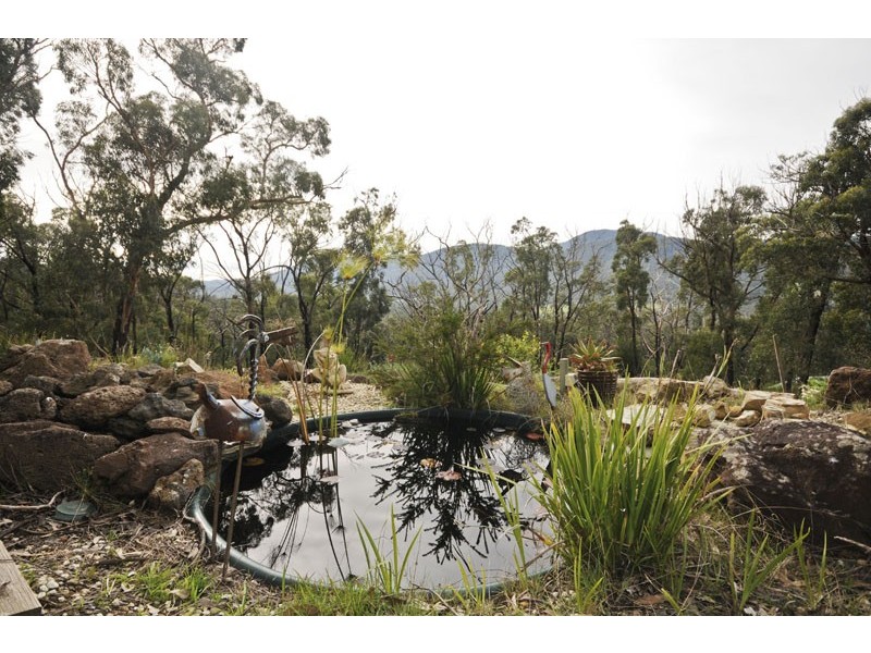 58 Arthurs Road, Chum Creek VIC 3777