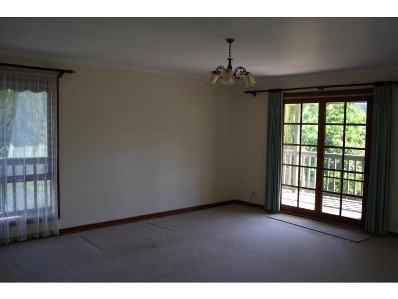 19 Badger Creek Road, Healesville VIC 3777