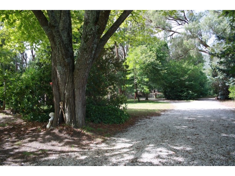 2213 Maroondah Hwy, Buxton VIC 3711