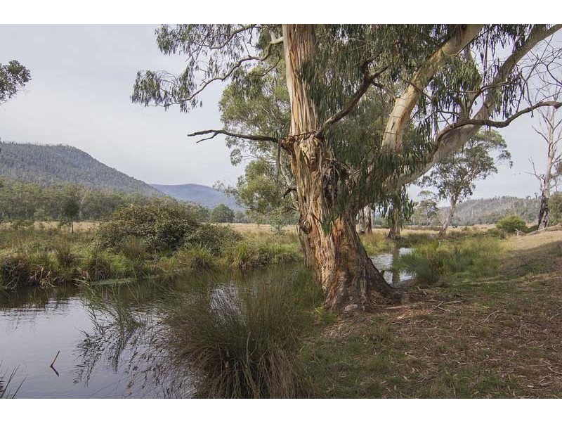 Buxton VIC 3711