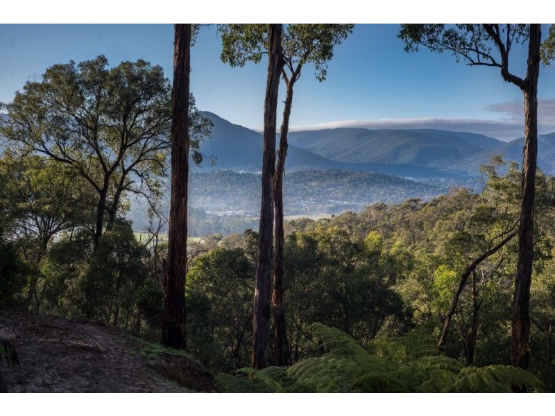 40 Dingley Dell Road, Healesville VIC 3777