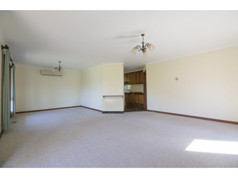 19 Badger Creek Road, Healesville VIC 3777
